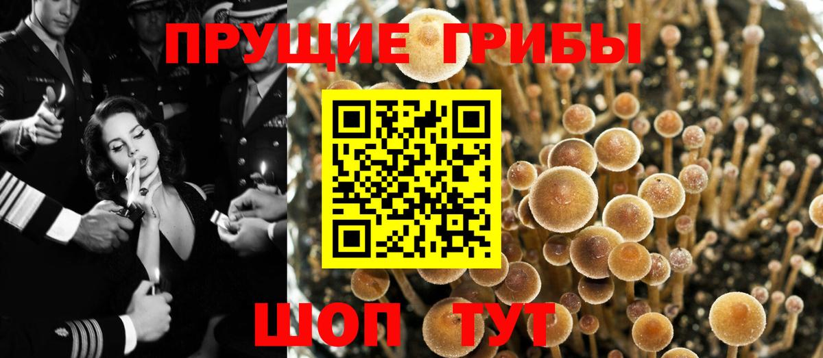 Псилоцибиновые грибы мухоморы  Вход с VPN  Галлюциногенные грибы мухоморы  Люберцы 