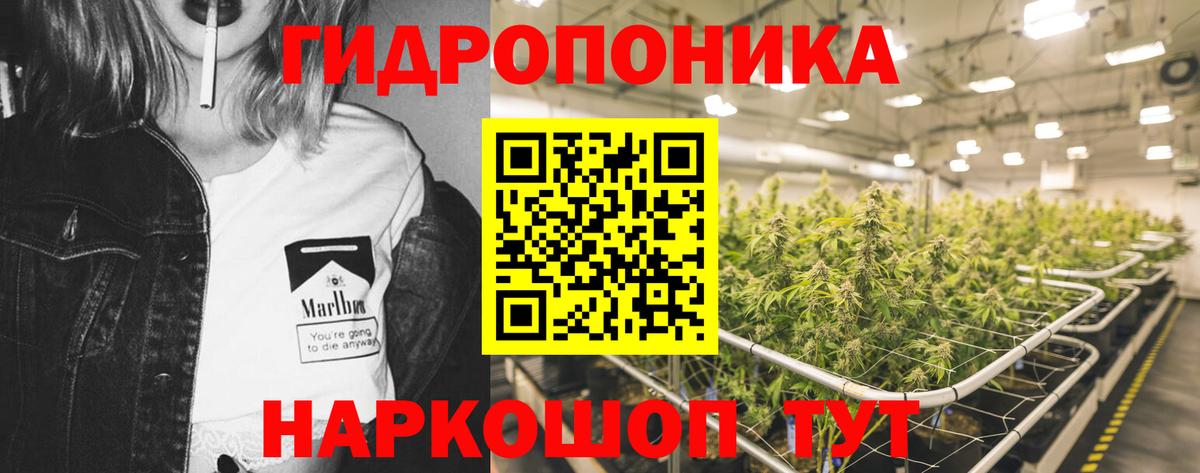 Шишки марихуана марихуана Люберцы